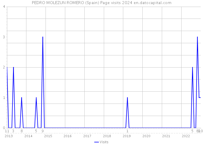 PEDRO MOLEZUN ROMERO (Spain) Page visits 2024 