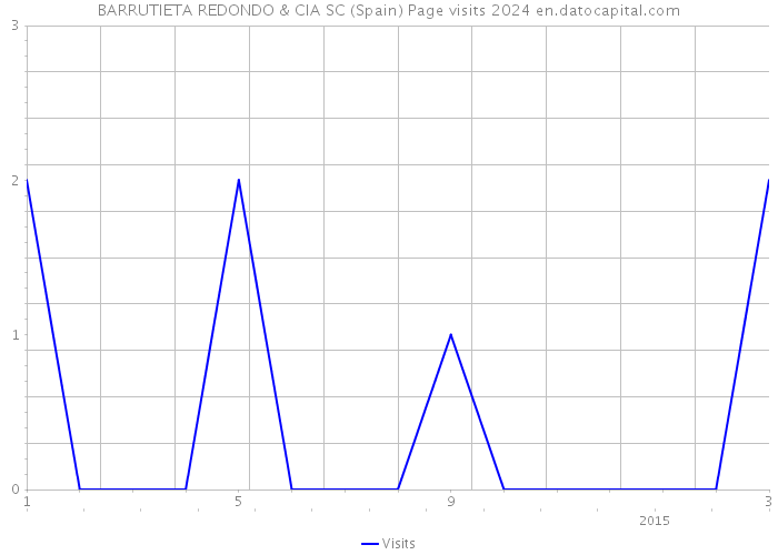 BARRUTIETA REDONDO & CIA SC (Spain) Page visits 2024 