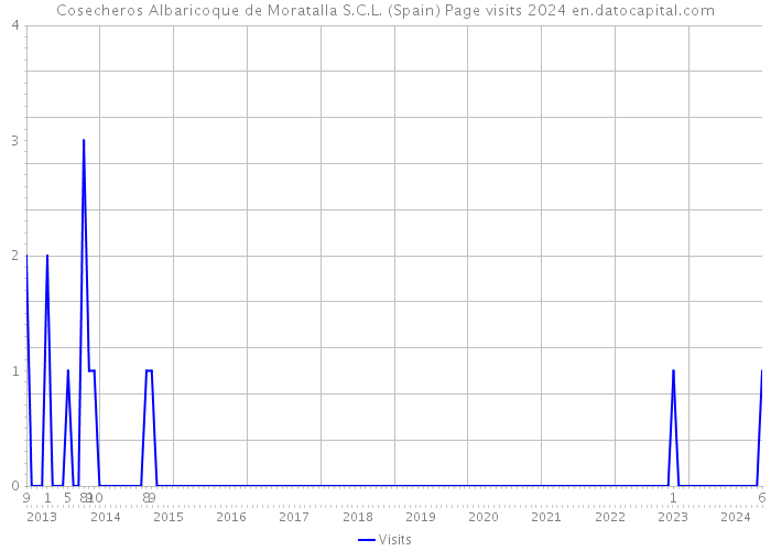 Cosecheros Albaricoque de Moratalla S.C.L. (Spain) Page visits 2024 