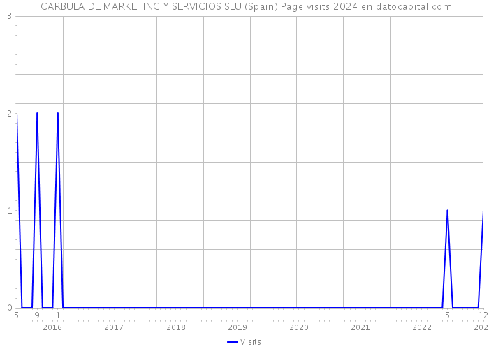  CARBULA DE MARKETING Y SERVICIOS SLU (Spain) Page visits 2024 