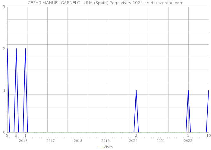 CESAR MANUEL GARNELO LUNA (Spain) Page visits 2024 