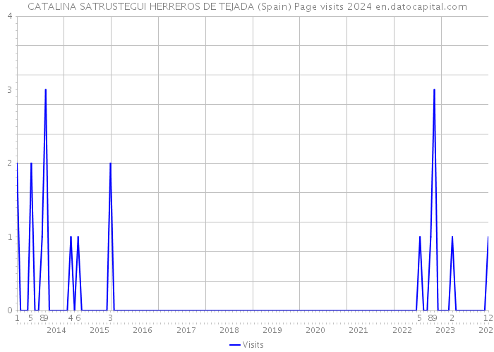 CATALINA SATRUSTEGUI HERREROS DE TEJADA (Spain) Page visits 2024 