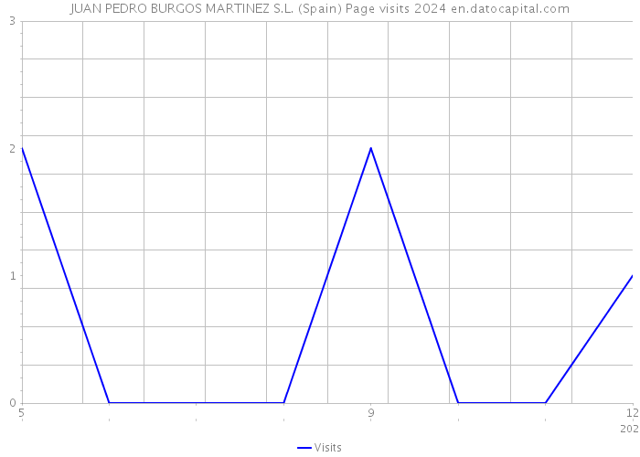 JUAN PEDRO BURGOS MARTINEZ S.L. (Spain) Page visits 2024 