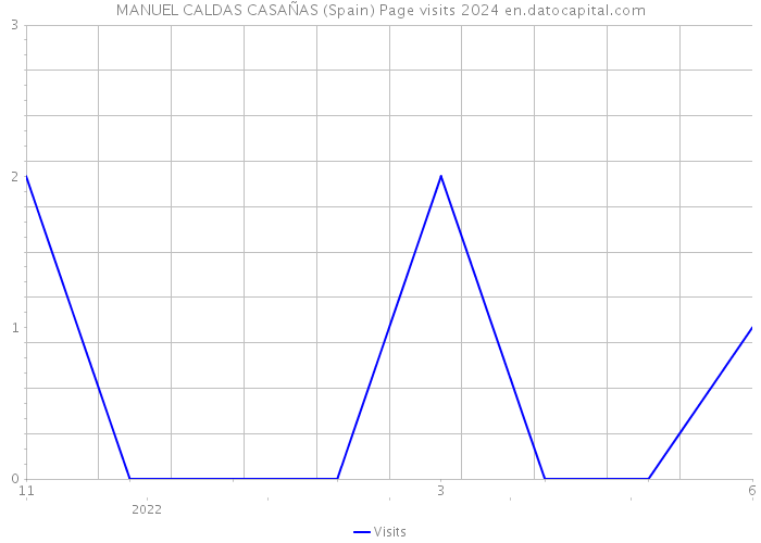 MANUEL CALDAS CASAÑAS (Spain) Page visits 2024 