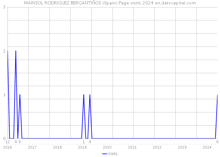 MARISOL RODRIGUEZ BERGANTIÑOS (Spain) Page visits 2024 