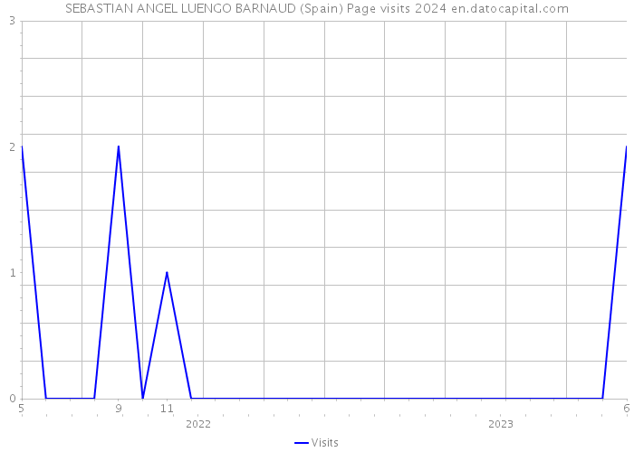 SEBASTIAN ANGEL LUENGO BARNAUD (Spain) Page visits 2024 