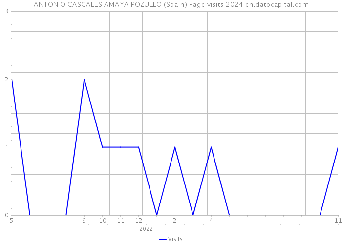 ANTONIO CASCALES AMAYA POZUELO (Spain) Page visits 2024 