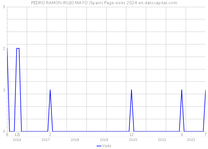 PEDRO RAMON IRUJO MAYO (Spain) Page visits 2024 