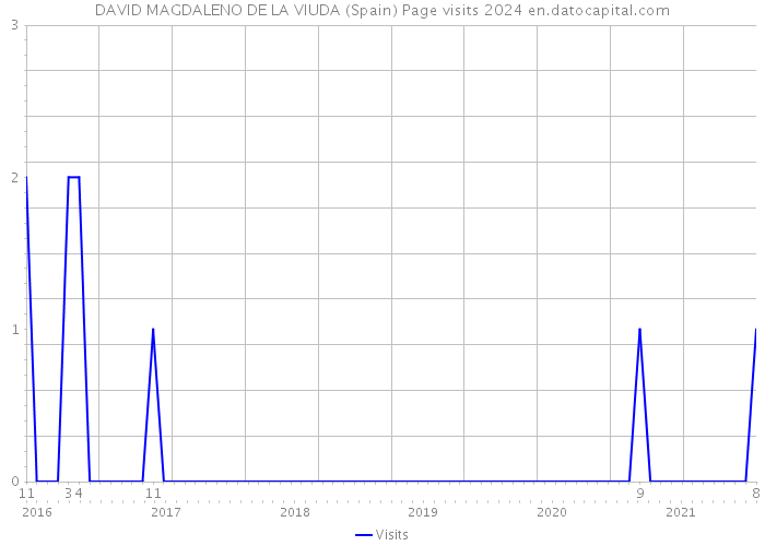 DAVID MAGDALENO DE LA VIUDA (Spain) Page visits 2024 