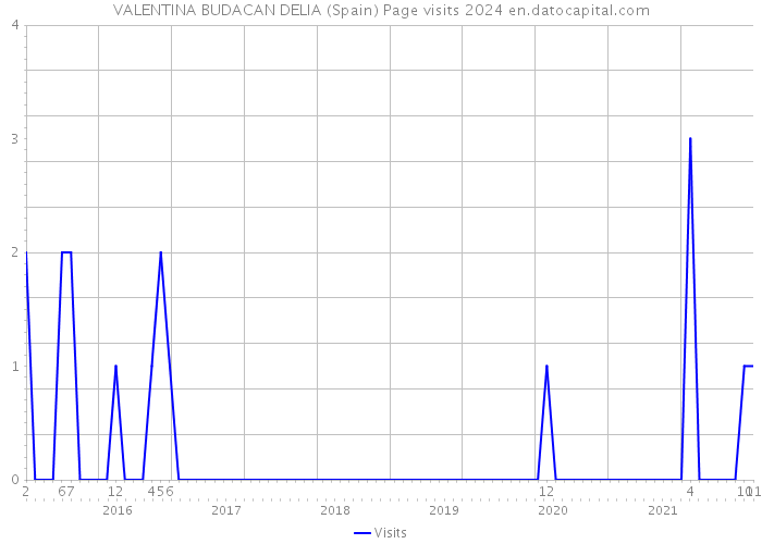 VALENTINA BUDACAN DELIA (Spain) Page visits 2024 