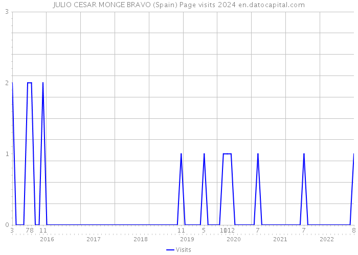 JULIO CESAR MONGE BRAVO (Spain) Page visits 2024 