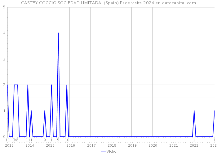 CASTEY COCCIO SOCIEDAD LIMITADA. (Spain) Page visits 2024 