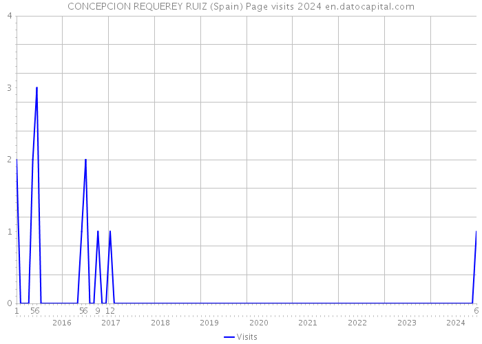 CONCEPCION REQUEREY RUIZ (Spain) Page visits 2024 