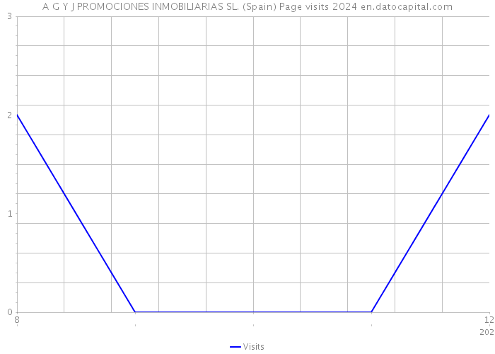 A G Y J PROMOCIONES INMOBILIARIAS SL. (Spain) Page visits 2024 