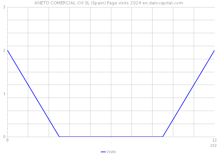 ANETO COMERCIAL XXI SL (Spain) Page visits 2024 