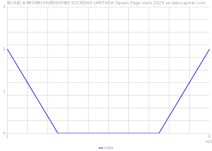 BLOND & BROWN INVERSIONES SOCIEDAD LIMITADA (Spain) Page visits 2024 