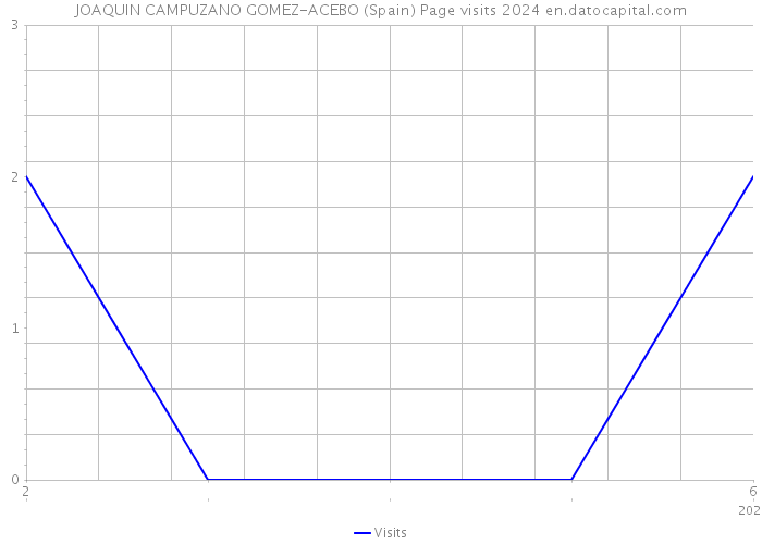 JOAQUIN CAMPUZANO GOMEZ-ACEBO (Spain) Page visits 2024 