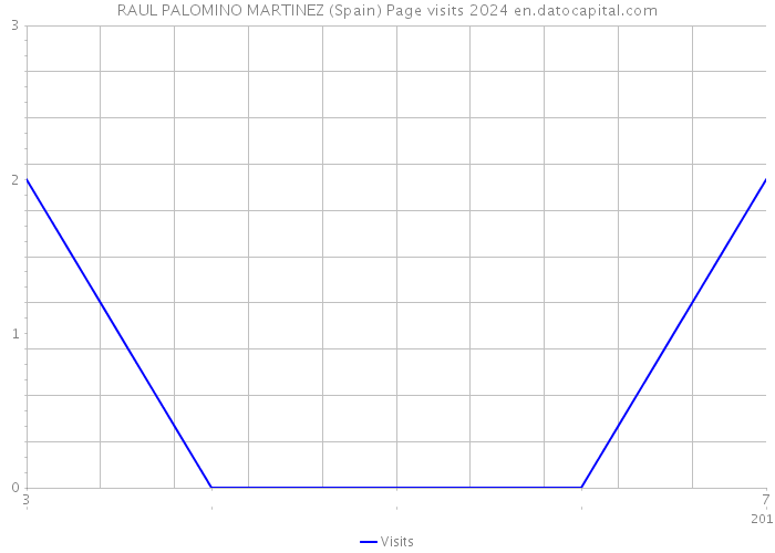 RAUL PALOMINO MARTINEZ (Spain) Page visits 2024 