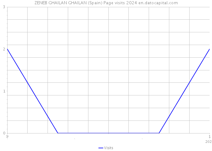 ZENEB GHAILAN GHAILAN (Spain) Page visits 2024 