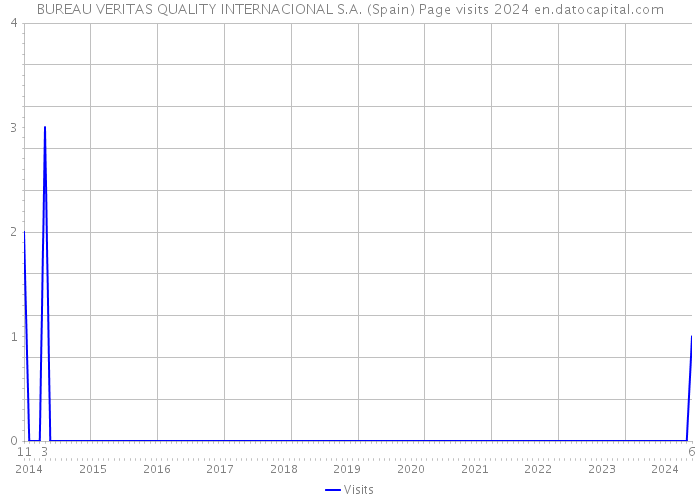 BUREAU VERITAS QUALITY INTERNACIONAL S.A. (Spain) Page visits 2024 