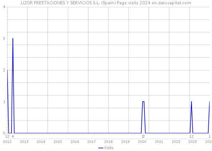 LIZOR PRESTACIONES Y SERVICIOS S.L. (Spain) Page visits 2024 