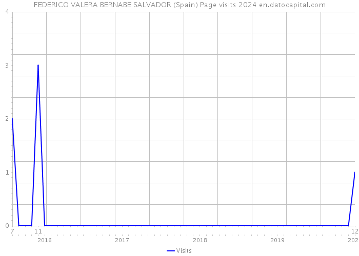 FEDERICO VALERA BERNABE SALVADOR (Spain) Page visits 2024 