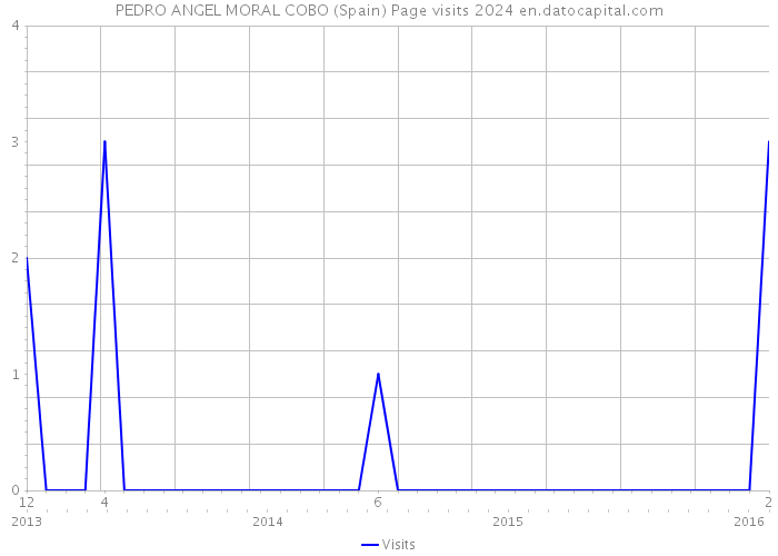 PEDRO ANGEL MORAL COBO (Spain) Page visits 2024 