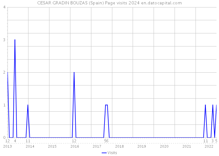 CESAR GRADIN BOUZAS (Spain) Page visits 2024 