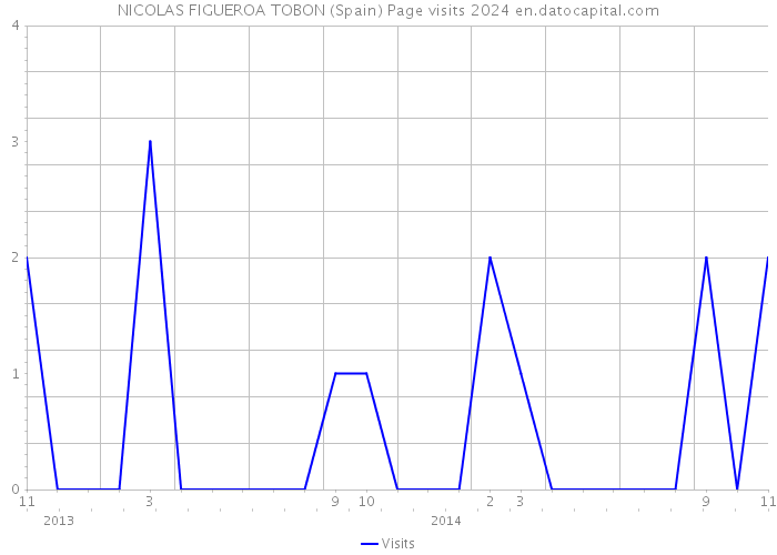 NICOLAS FIGUEROA TOBON (Spain) Page visits 2024 
