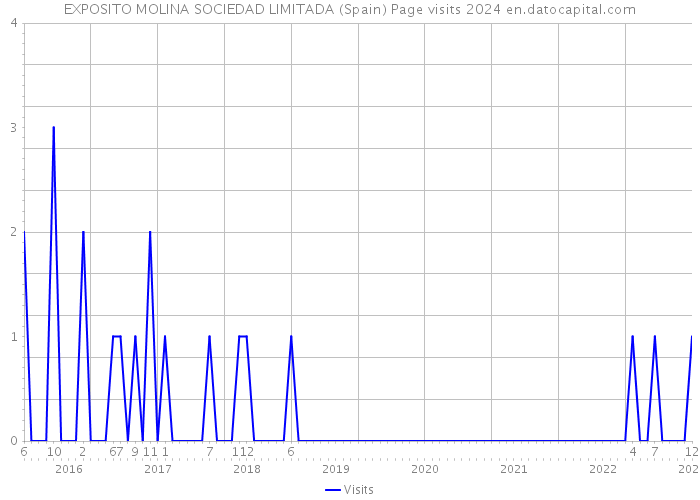 EXPOSITO MOLINA SOCIEDAD LIMITADA (Spain) Page visits 2024 