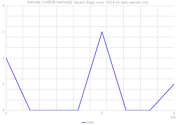 RAFAEL CAÑETE NARVAEZ (Spain) Page visits 2024 
