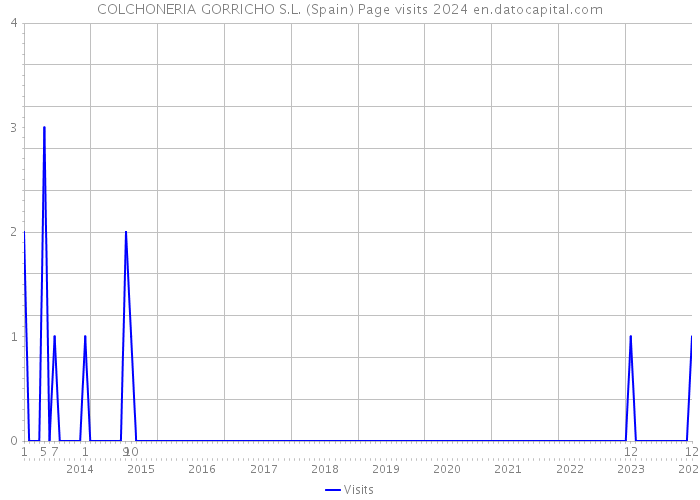 COLCHONERIA GORRICHO S.L. (Spain) Page visits 2024 