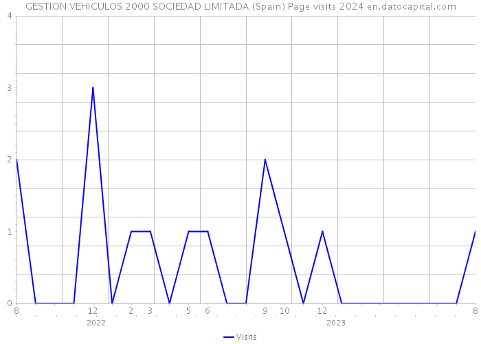 GESTION VEHICULOS 2000 SOCIEDAD LIMITADA (Spain) Page visits 2024 