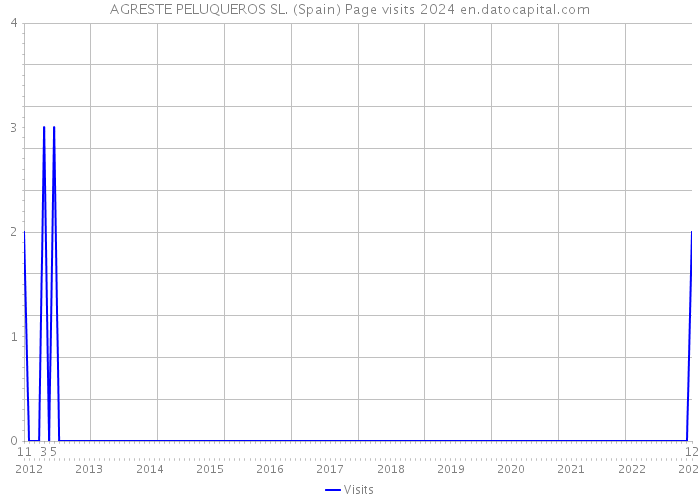 AGRESTE PELUQUEROS SL. (Spain) Page visits 2024 