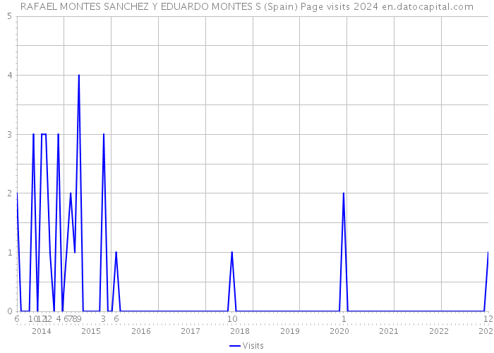 RAFAEL MONTES SANCHEZ Y EDUARDO MONTES S (Spain) Page visits 2024 