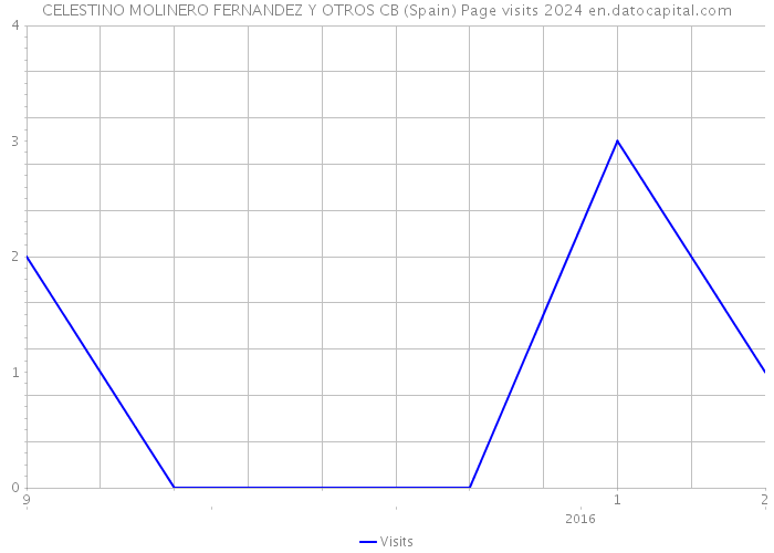 CELESTINO MOLINERO FERNANDEZ Y OTROS CB (Spain) Page visits 2024 