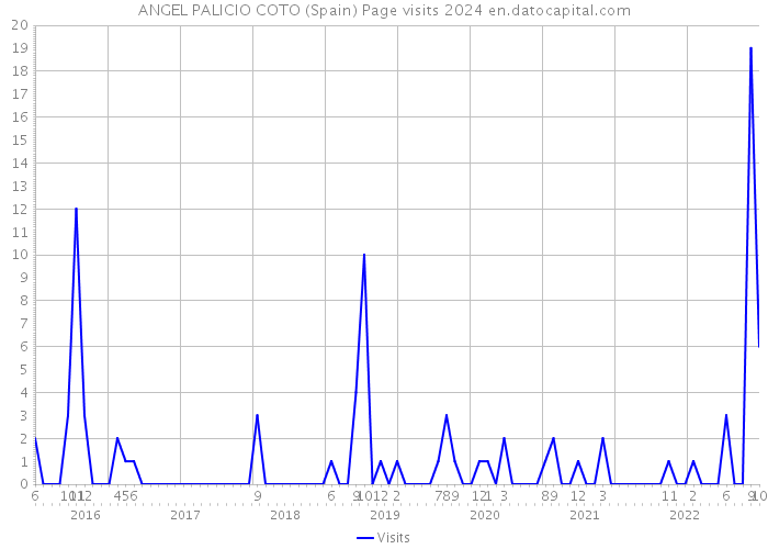 ANGEL PALICIO COTO (Spain) Page visits 2024 