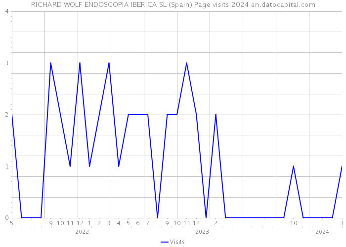 RICHARD WOLF ENDOSCOPIA IBERICA SL (Spain) Page visits 2024 