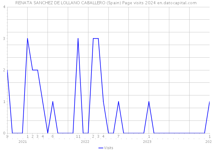 RENATA SANCHEZ DE LOLLANO CABALLERO (Spain) Page visits 2024 