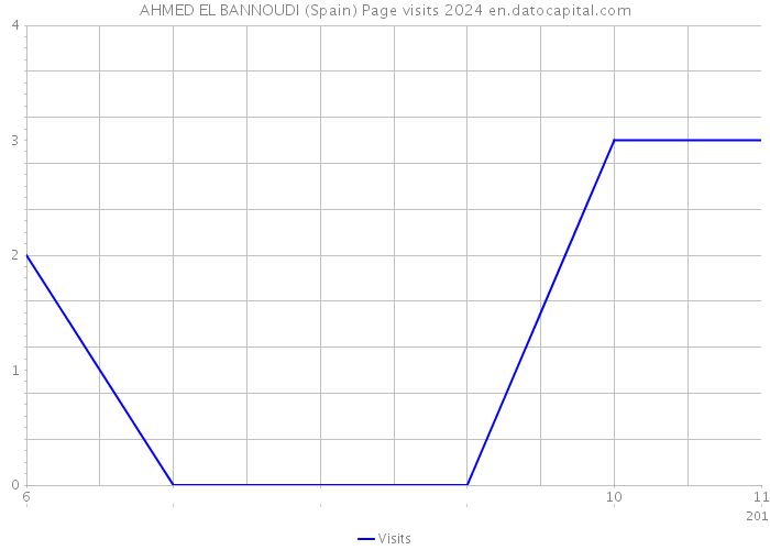 AHMED EL BANNOUDI (Spain) Page visits 2024 