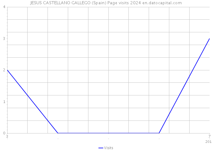 JESUS CASTELLANO GALLEGO (Spain) Page visits 2024 