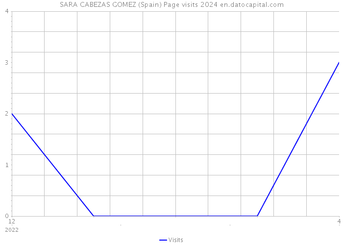 SARA CABEZAS GOMEZ (Spain) Page visits 2024 