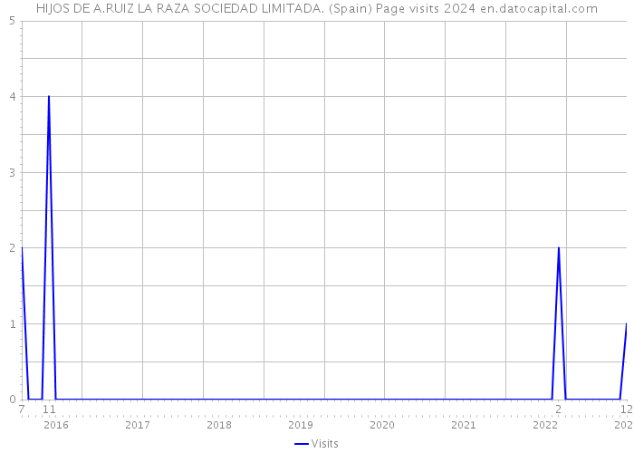 HIJOS DE A.RUIZ LA RAZA SOCIEDAD LIMITADA. (Spain) Page visits 2024 
