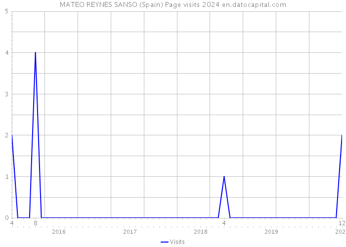 MATEO REYNES SANSO (Spain) Page visits 2024 
