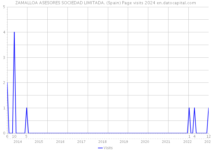 ZAMALLOA ASESORES SOCIEDAD LIMITADA. (Spain) Page visits 2024 