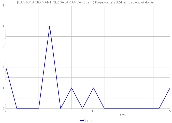JUAN IGNACIO MARTINEZ SALAMANCA (Spain) Page visits 2024 
