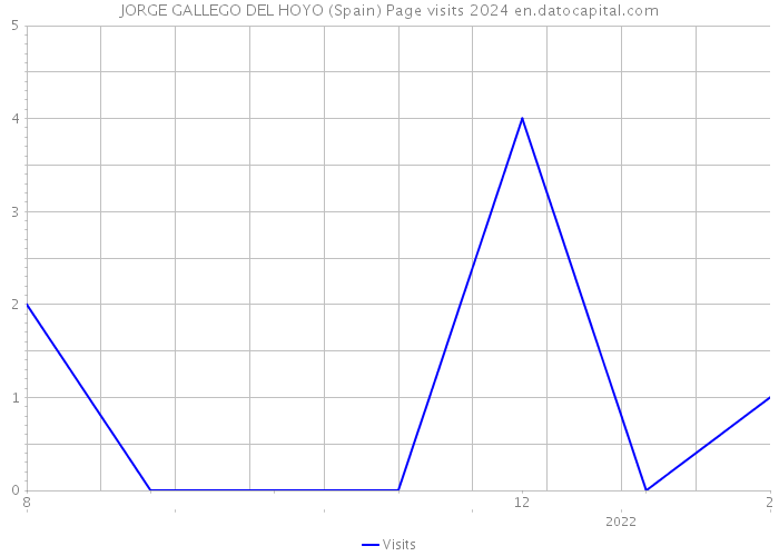 JORGE GALLEGO DEL HOYO (Spain) Page visits 2024 