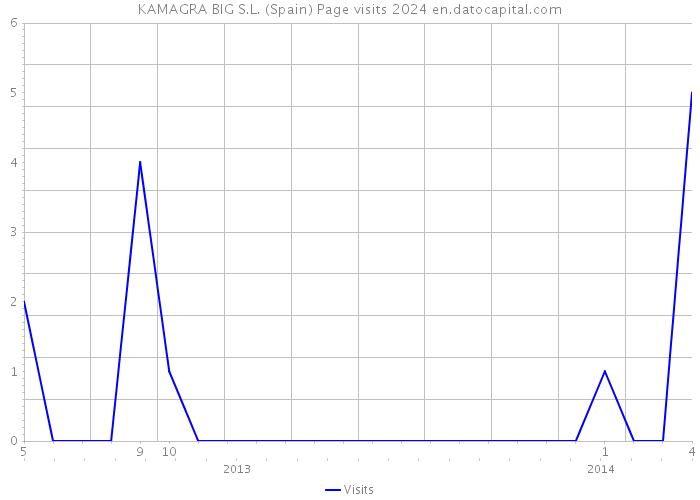 KAMAGRA BIG S.L. (Spain) Page visits 2024 