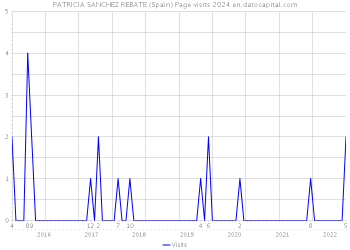 PATRICIA SANCHEZ REBATE (Spain) Page visits 2024 