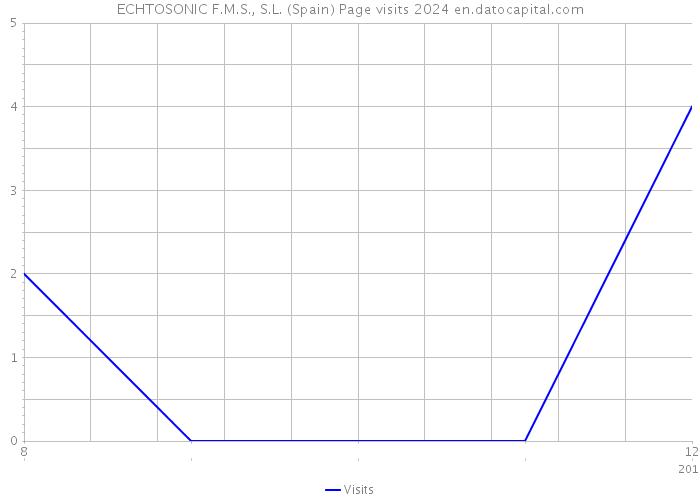 ECHTOSONIC F.M.S., S.L. (Spain) Page visits 2024 